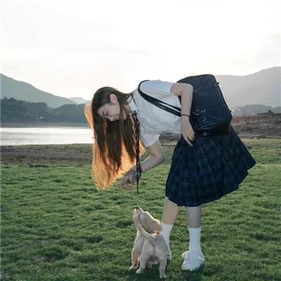 凤舞花飞